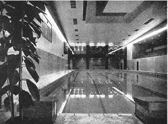 Shell swimming pool
